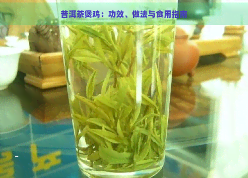 普洱茶煲鸡：功效、做法与食用指南