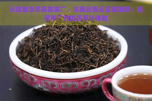 云县普洱茶嘉茗茶厂，探索云南云县普洱茶：嘉茗茶厂的优质茶叶体验