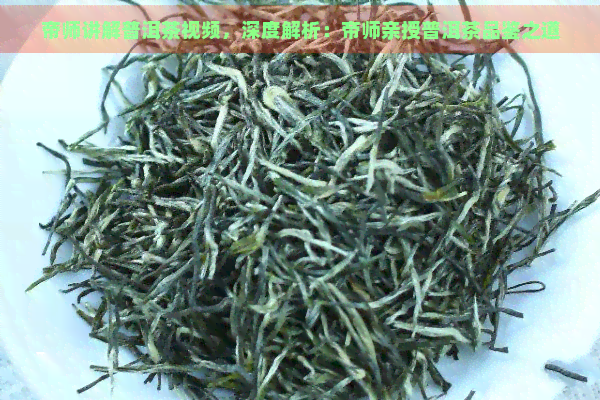 帝师讲解普洱茶视频，深度解析：帝师亲授普洱茶品鉴之道