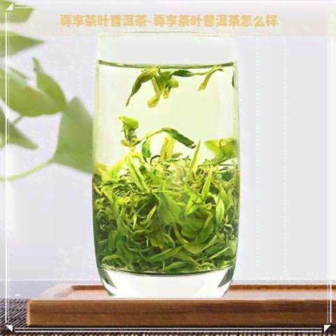 尊享茶叶普洱茶-尊享茶叶普洱茶怎么样