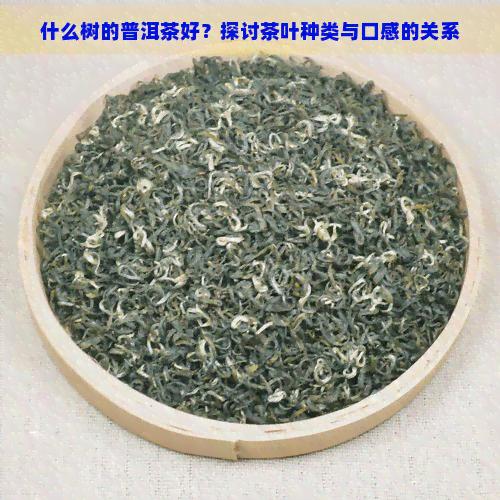 什么树的普洱茶好？探讨茶叶种类与口感的关系