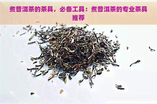 煮普洱茶的茶具，必备工具：煮普洱茶的专业茶具推荐