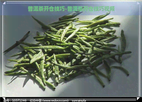 普洱茶开仓技巧-普洱茶开仓技巧视频