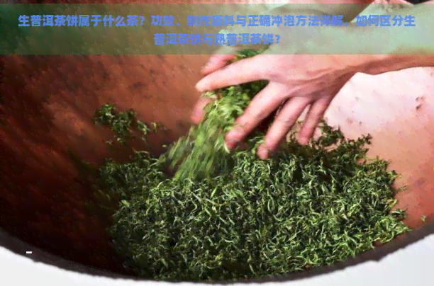 生普洱茶饼属于什么茶？功效、制作原料与正确冲泡方法详解，如何区分生普洱茶饼与熟普洱茶饼？