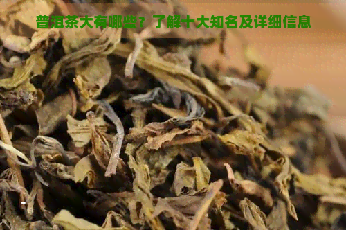 普洱茶大有哪些？了解十大知名及详细信息