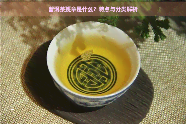 普洱茶班章是什么？特点与分类解析