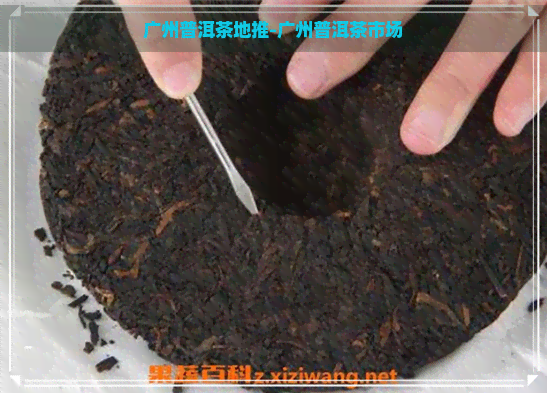 广州普洱茶地推-广州普洱茶市场