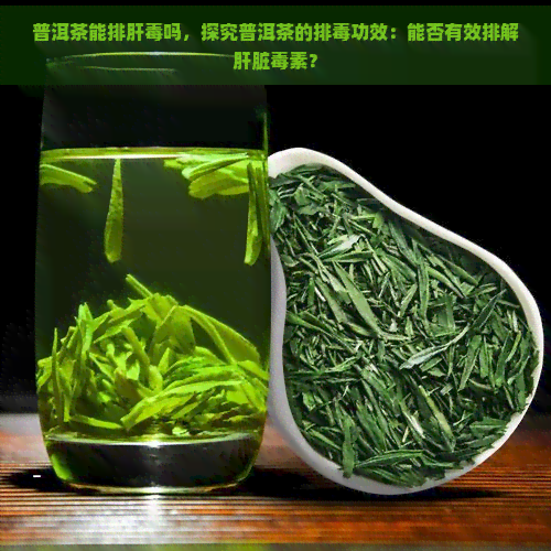 普洱茶能排肝吗，探究普洱茶的排功效：能否有效排解肝脏素？