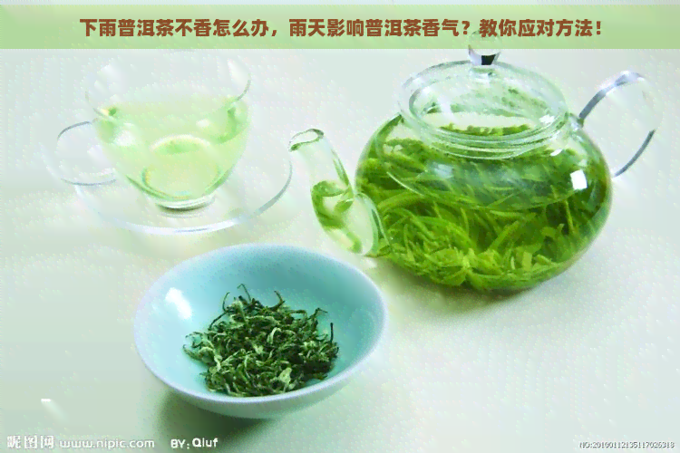 下雨普洱茶不香怎么办，雨天影响普洱茶香气？教你应对方法！