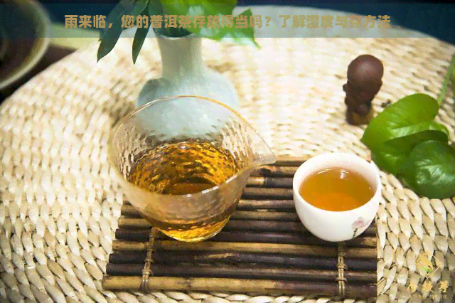 雨来临，您的普洱茶存放得当吗？了解湿度与存方法