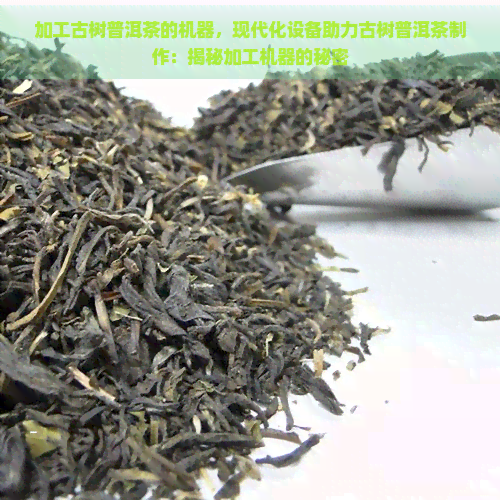 加工古树普洱茶的机器，现代化设备助力古树普洱茶制作：揭秘加工机器的秘密