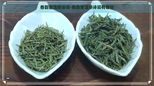 春韵普洱茶诗词-春韵普洱茶诗词有哪些