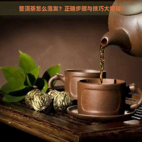 普洱茶怎么泡发？正确步骤与技巧大揭秘！