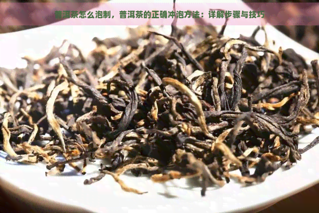 普洱茶怎么泡制，普洱茶的正确冲泡方法：详解步骤与技巧