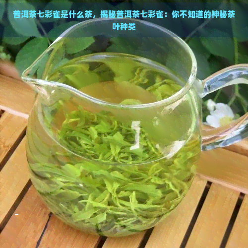 普洱茶七彩雀是什么茶，揭秘普洱茶七彩雀：你不知道的神秘茶叶种类