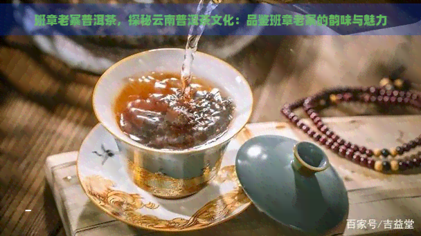 班章老寨普洱茶，探秘云南普洱茶文化：品鉴班章老寨的韵味与魅力