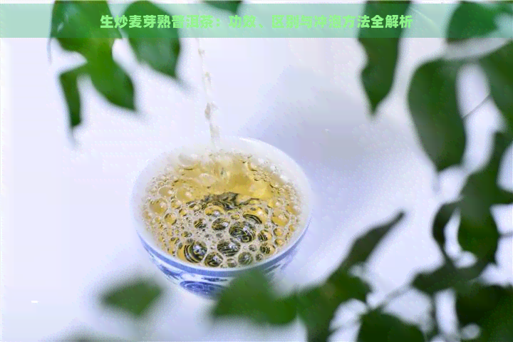 生炒麦芽熟普洱茶：功效、区别与冲泡方法全解析