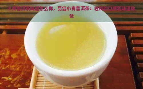 小青普洱茶味道怎么样，品尝小青普洱茶：独特的口感和味道体验