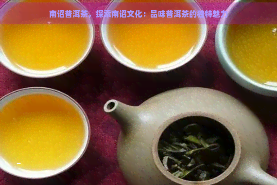 南诏普洱茶，探索南诏文化：品味普洱茶的独特魅力