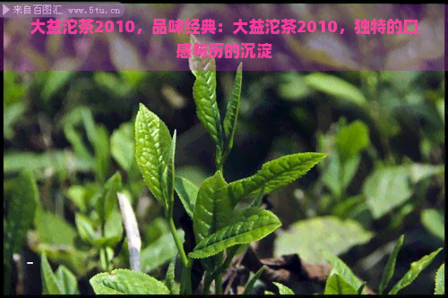 大益沱茶2010，品味经典：大益沱茶2010，独特的口感与历的沉淀