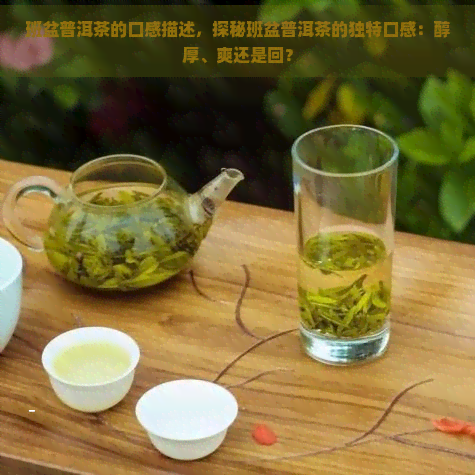 班盆普洱茶的口感描述，探秘班盆普洱茶的独特口感：醇厚、爽还是回？