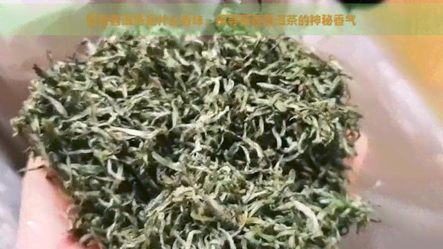 荷香普洱茶是什么香味，探寻荷香普洱茶的神秘香气