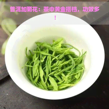 普洱加菊花：茶中黄金搭档，功效多！