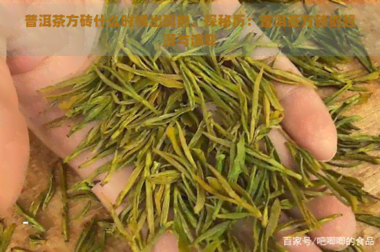 普洱茶方砖什么时候出现的，探秘历：普洱茶方砖的起源与演变