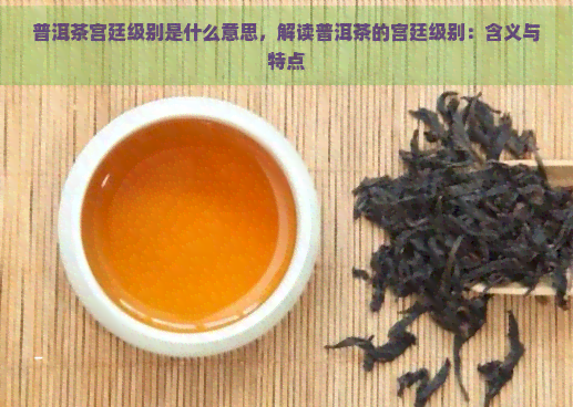 普洱茶宫廷级别是什么意思，解读普洱茶的宫廷级别：含义与特点