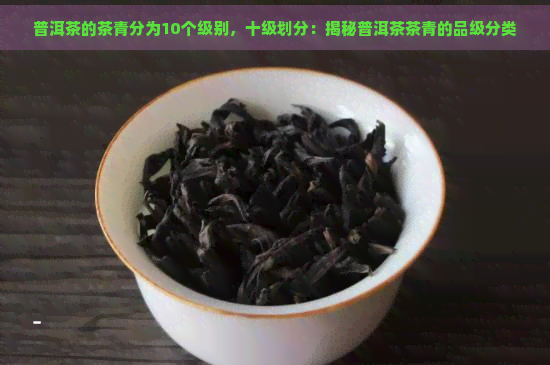 普洱茶的茶青分为10个级别，十级划分：揭秘普洱茶茶青的品级分类