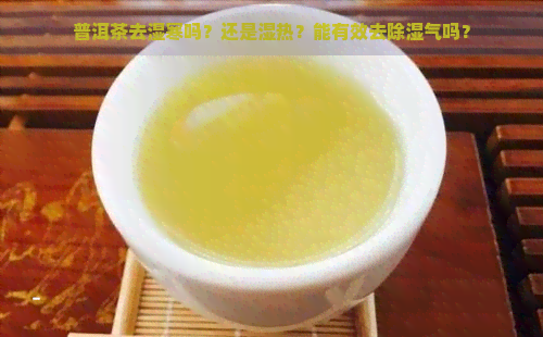 普洱茶去湿寒吗？还是湿热？能有效去除湿气吗？