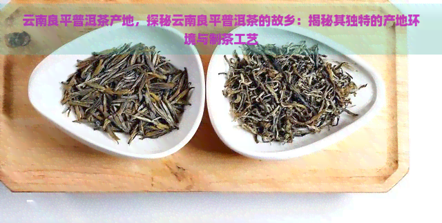 云南良平普洱茶产地，探秘云南良平普洱茶的故乡：揭秘其独特的产地环境与制茶工艺