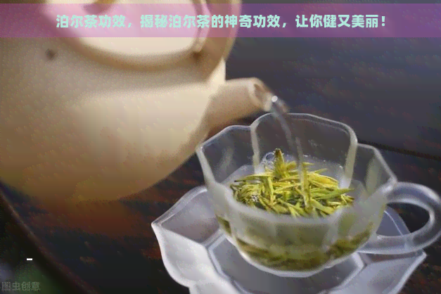 泊尔茶功效，揭秘泊尔茶的神奇功效，让你健又美丽！