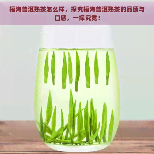 福海普洱熟茶怎么样，探究福海普洱熟茶的品质与口感，一探究竟！