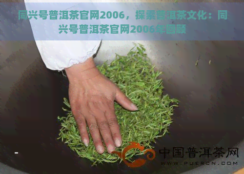 同兴号普洱茶官网2006，探索普洱茶文化：同兴号普洱茶官网2006年回顾