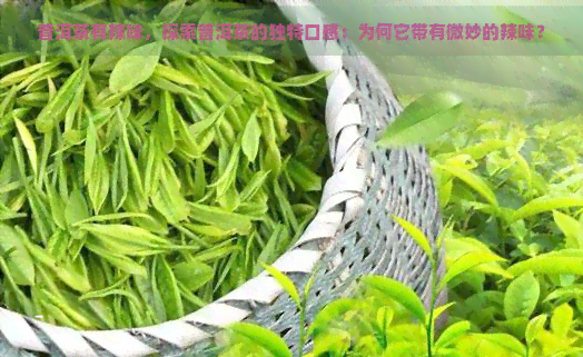 普洱茶有辣味，探索普洱茶的独特口感：为何它带有微妙的辣味？