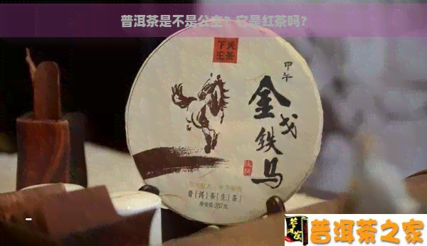 普洱茶是不是公主？它是红茶吗？