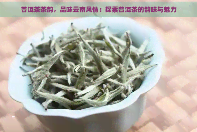 普洱茶茶韵，品味云南风情：探索普洱茶的韵味与魅力