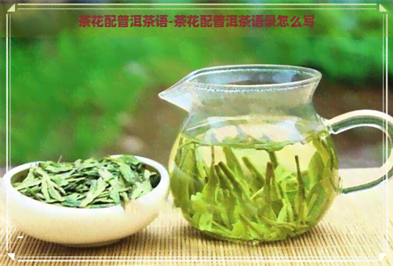 茶花配普洱茶语-茶花配普洱茶语录怎么写