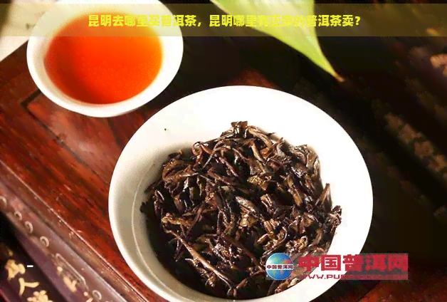 昆明去哪里买普洱茶，昆明哪里有正宗的普洱茶卖？