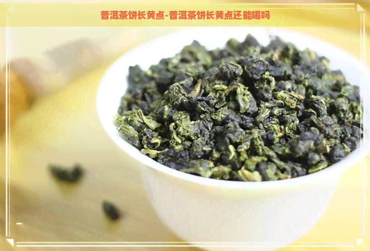 普洱茶饼长黄点-普洱茶饼长黄点还能喝吗