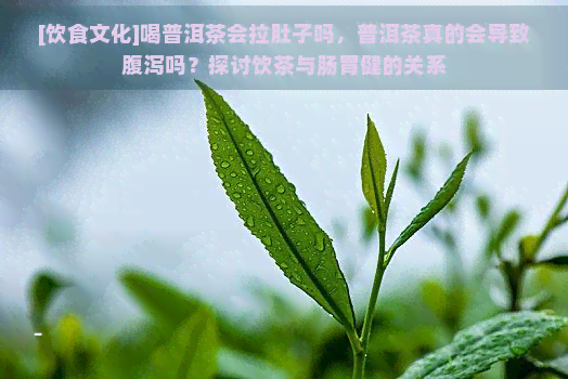 [饮食文化]喝普洱茶会拉肚子吗，普洱茶真的会导致腹泻吗？探讨饮茶与肠胃健的关系