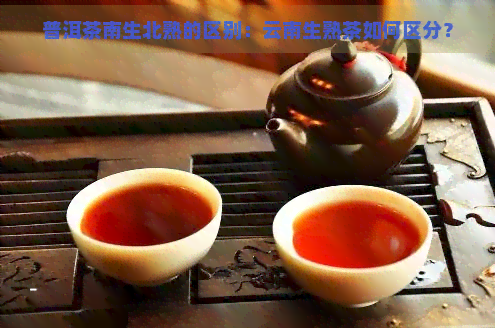 普洱茶南生北熟的区别：云南生熟茶如何区分？