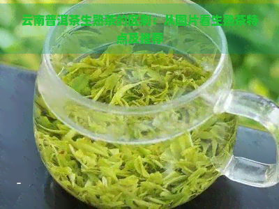 云南普洱茶生熟茶的区别：从图片看生熟茶特点及推荐