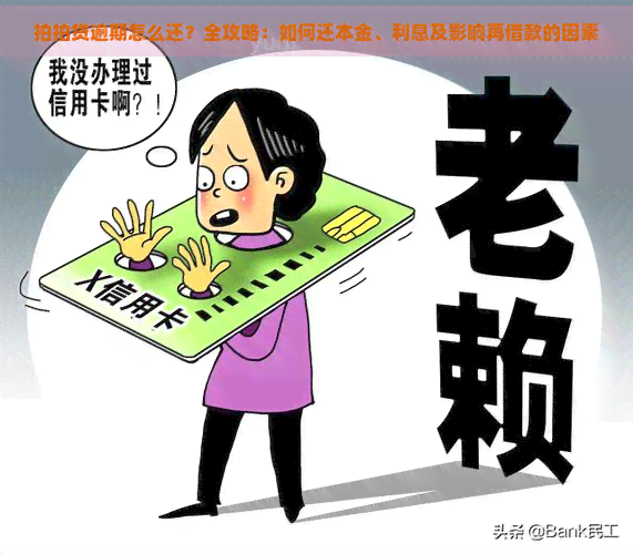 逾期怎么还？全攻略：如何还本金、利息及影响再借款的因素