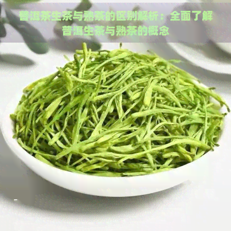 普洱茶生茶与熟茶的区别解析：全面了解普洱生茶与熟茶的概念