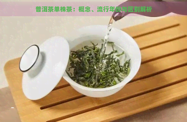 普洱茶单株茶：概念、流行年份与区别解析