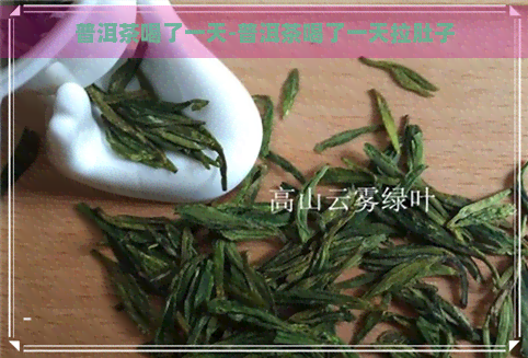 普洱茶喝了一天-普洱茶喝了一天拉肚子