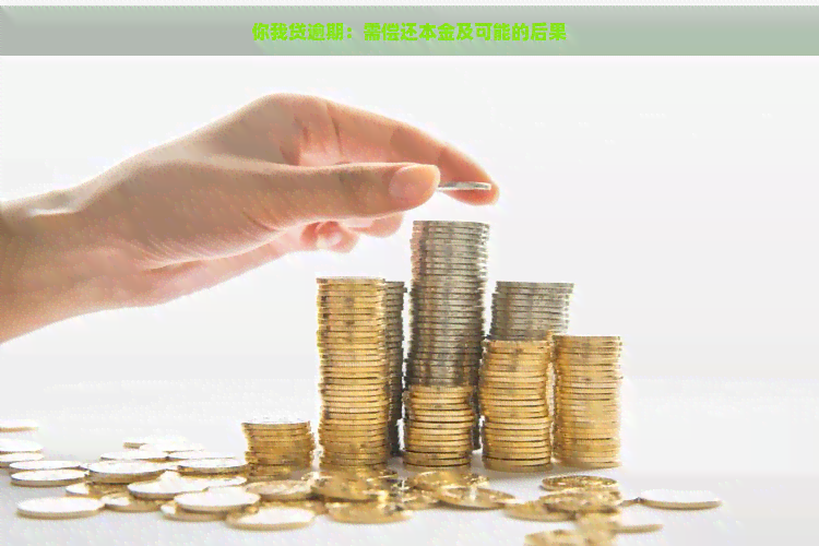 你我贷逾期：需偿还本金及可能的后果