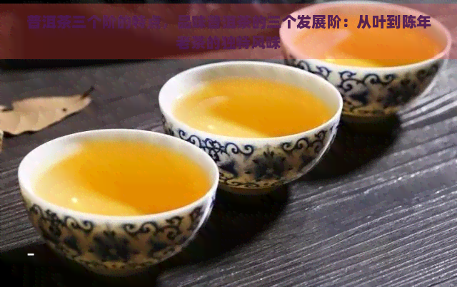 普洱茶三个阶的特点，品味普洱茶的三个发展阶：从叶到陈年老茶的独特风味